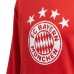                                                                                        adidas Bayern Munich DNA  965